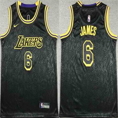 Youth Los Angeles Lakers #6 LeBron James Black Stitched Basketball Jersey