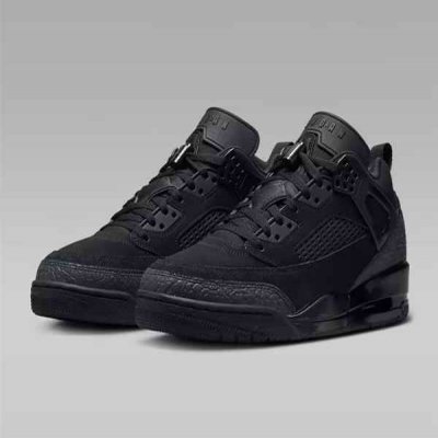 Men's Air Jordan Spizike Low Black Shoes 021