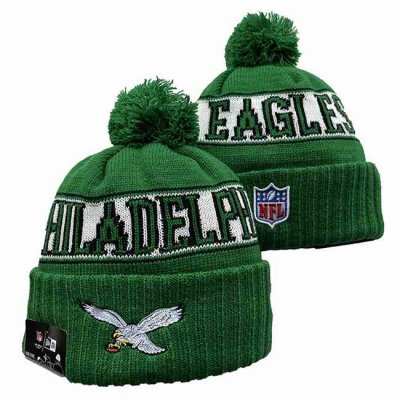 Philadelphia Eagles 2024 Knit Hats 009