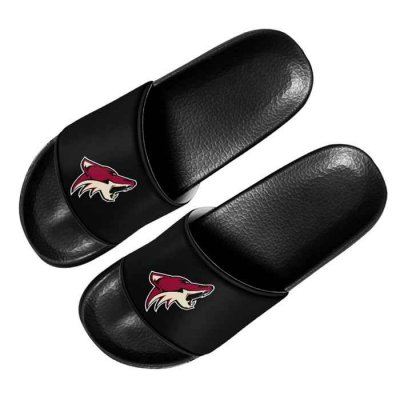 Men's Arizona Coyotes Flip Flops 002