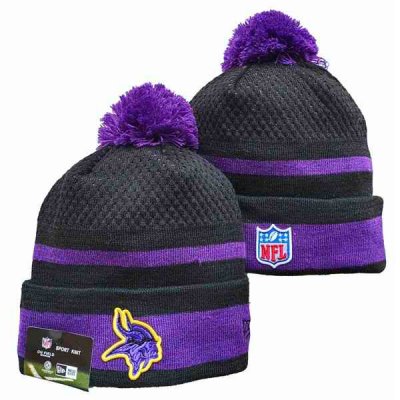 Minnesota Vikings Knit Hats 058