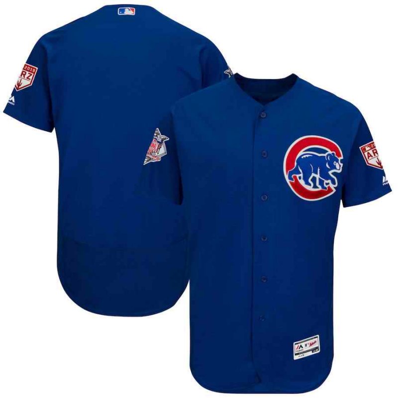 Men's Chicago Cubs Blank Majestic Royal 2019 Spring Training Flex Base Stitched MLB Jersey