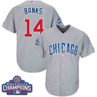 Cubs #14 Ernie Banks Grey Road 2016 World Series Champions Stitched Youth MLB Jersey