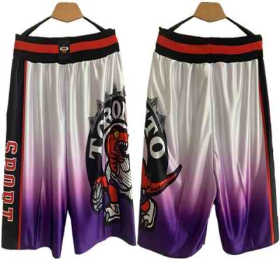 Men's Toronto Raptors White/Purple Shorts (Run Small)