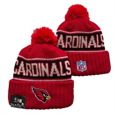 Arizona Cardinals 2024 Knit Hats 008