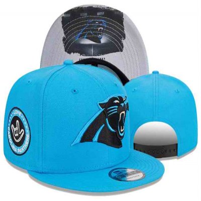 Carolina Panthers 2024 Stitched Snapback Hats 001