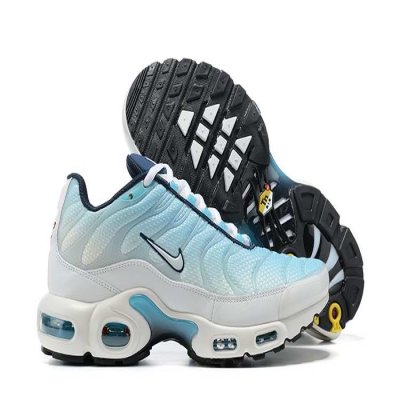 Men's Hot sale Running weapon Air Max TN Shoes 0194