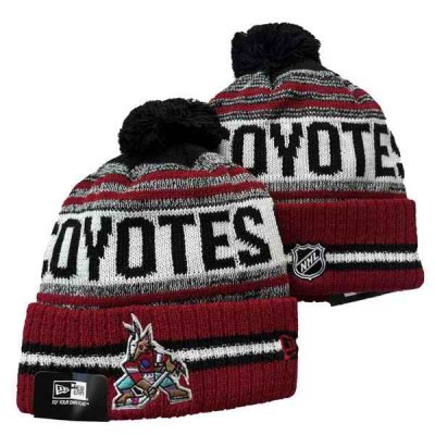 Arizona Coyotes Knit Hats 002