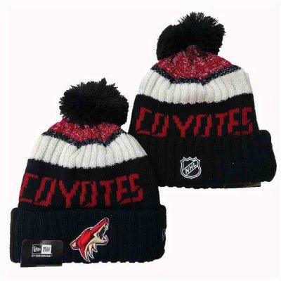 Arizona Coyotes Knit Hats 001