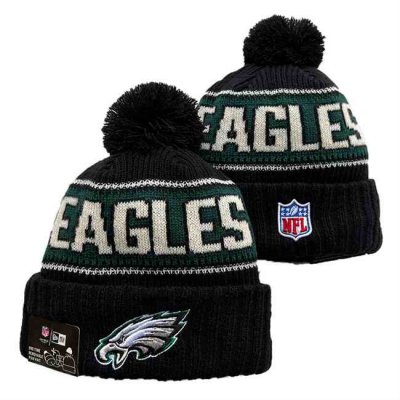 Philadelphia Eagles 2024 Knit Hats 021