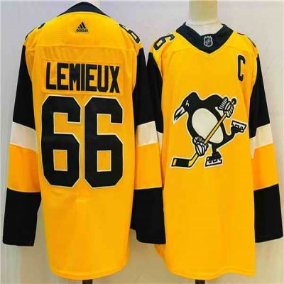 Men's Pittsburgh Penguins #66 Mario Lemieux Gold Stitched NHL Jersey