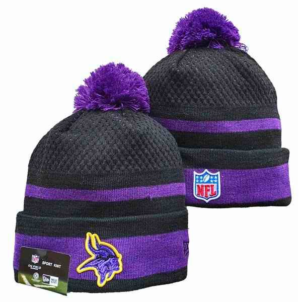 Minnesota Vikings Knit Hats 058