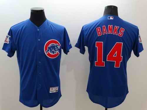 Cubs #14 Ernie Banks Blue Flexbase Authentic Collection Stitched MLB Jersey