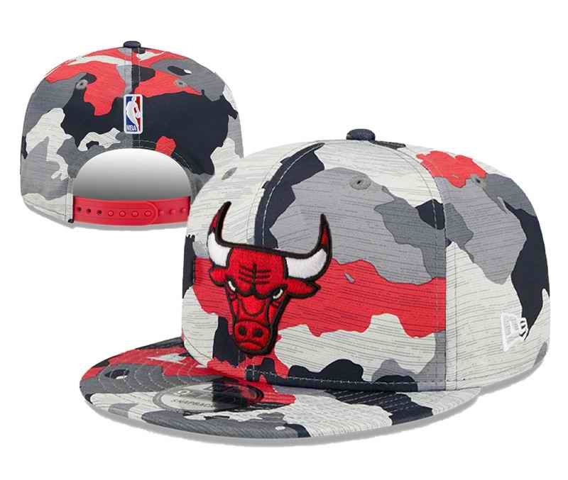 Chicago Bulls Stitched Snapback Hats 094