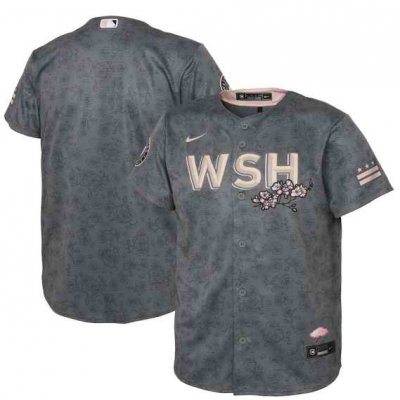 Youth Washington Nationals Blank 2022 Grey City Connect Cherry Blossom Stitched Baseball Jersey