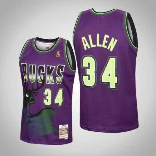 Men's Milwaukee Bucks #34 Ray Allen Purple Mitchell & Ness 1996-97 Hardwood Classics Swingman Stitched NBA Jersey