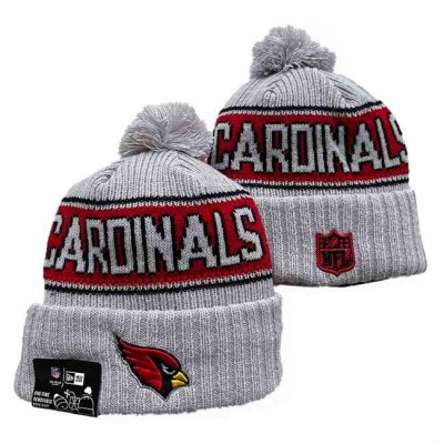 Arizona Cardinals 2024 Knit Hats 0010