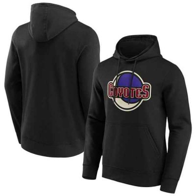 Men's Arizona Coyotes Black Iconic Secondary Colour Logo Graphic Hoodie