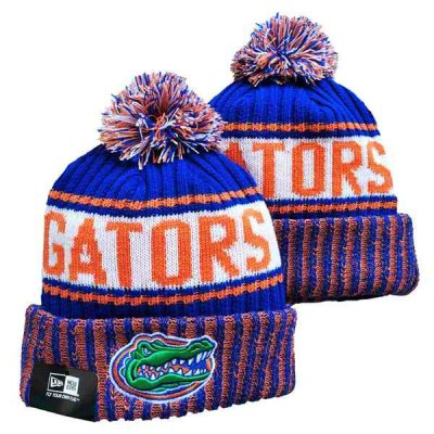 Florida Gators 2024 Knit Hats 002