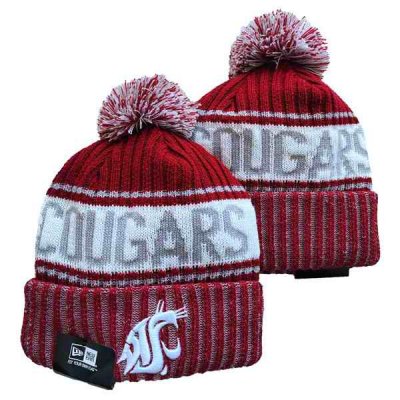 Washington State Cougars 2024 Knit Hats 001