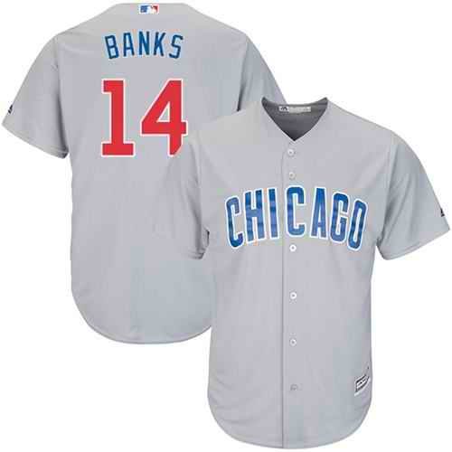 Cubs #14 Ernie Banks Grey Road Stitched Youth MLB Jersey